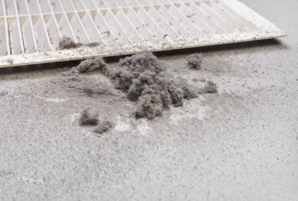 Best HVAC Duct Inspection Services  in Wingate, NC