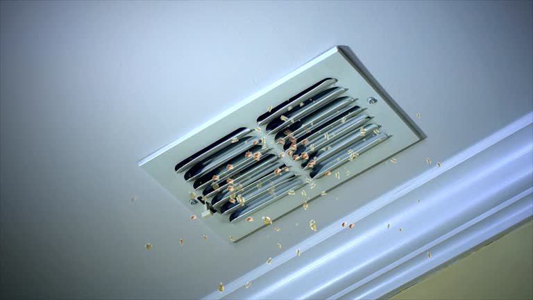 Best Air Duct Cleaning Near Me  in Wingate, NC