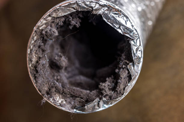 Air Duct Mold Removal in Wingate, NC