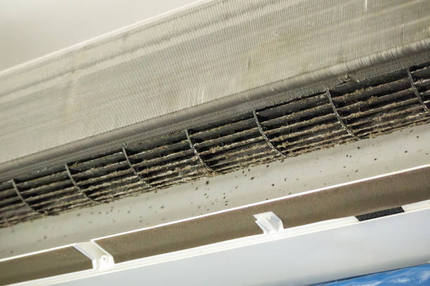 Best Professional Duct Cleaning Services  in Wingate, NC